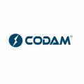 Logo Codam